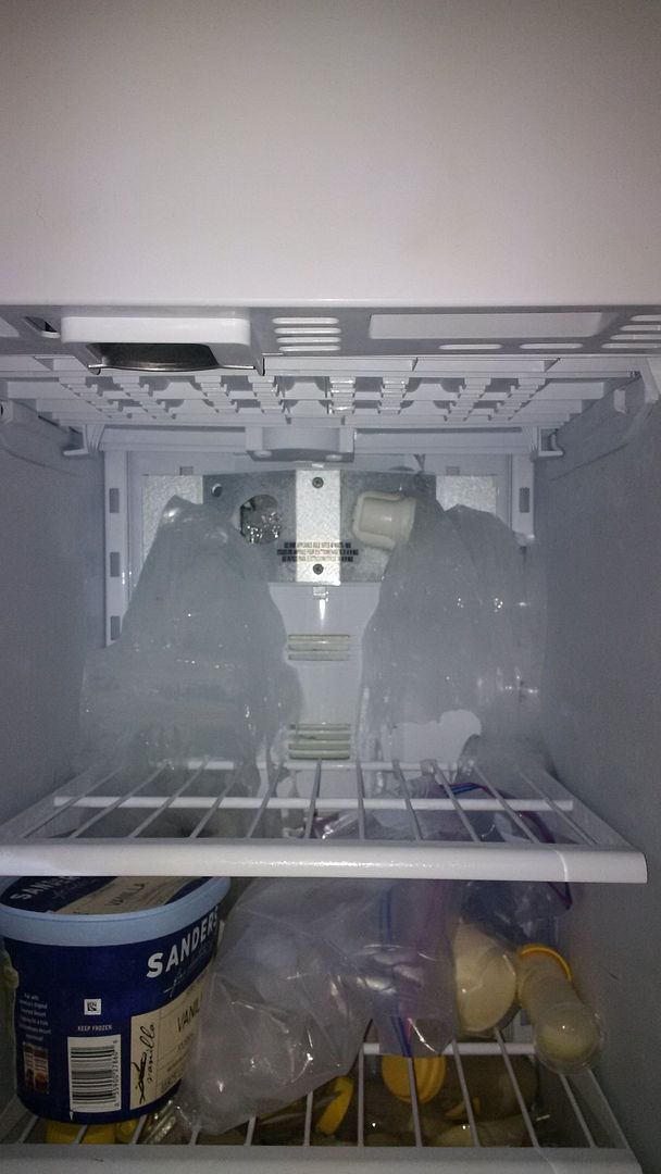 GE profile built in refrigerator field stripped help with ice build up